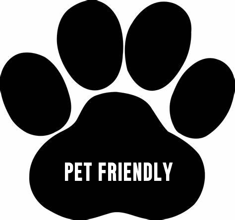 bring your pooch, wait with your pet, pet friendly appointments at Johnson's Auto in Aurora | Olathe St.
